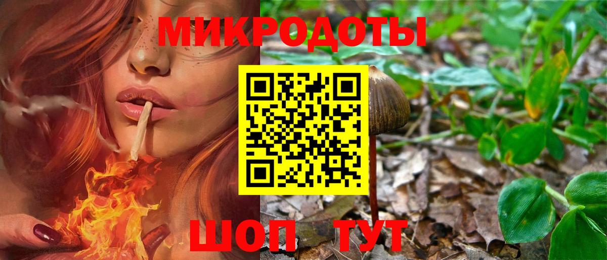 Псилоцибиновые грибы мицелий  Псилоцибиновые грибы прущие грибы  Рыбинск  Вход с VPN 